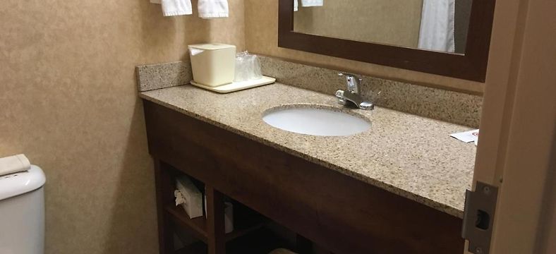Comfort Inn At Convention Center St George Ut